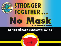 No Mask No Entry poster