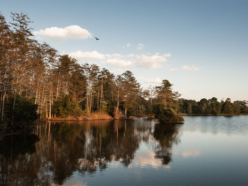 http://pbcauthor/parks/SiteImages/News/_t/riverbend_jpg.jpg