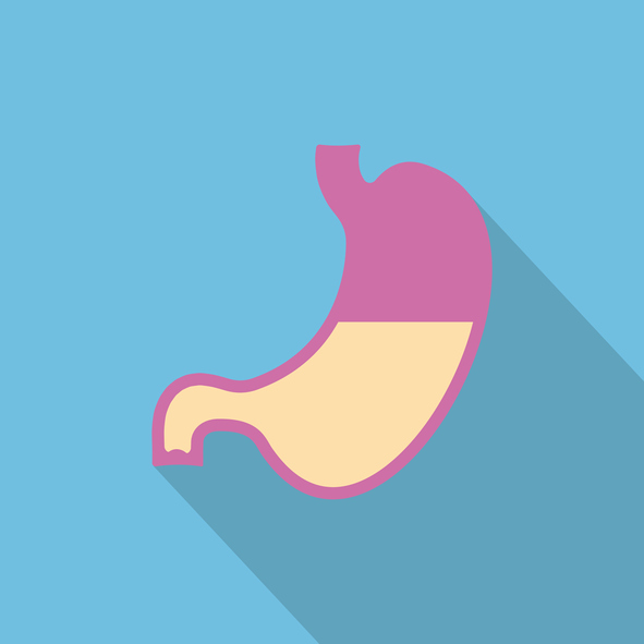 graphic of intestine