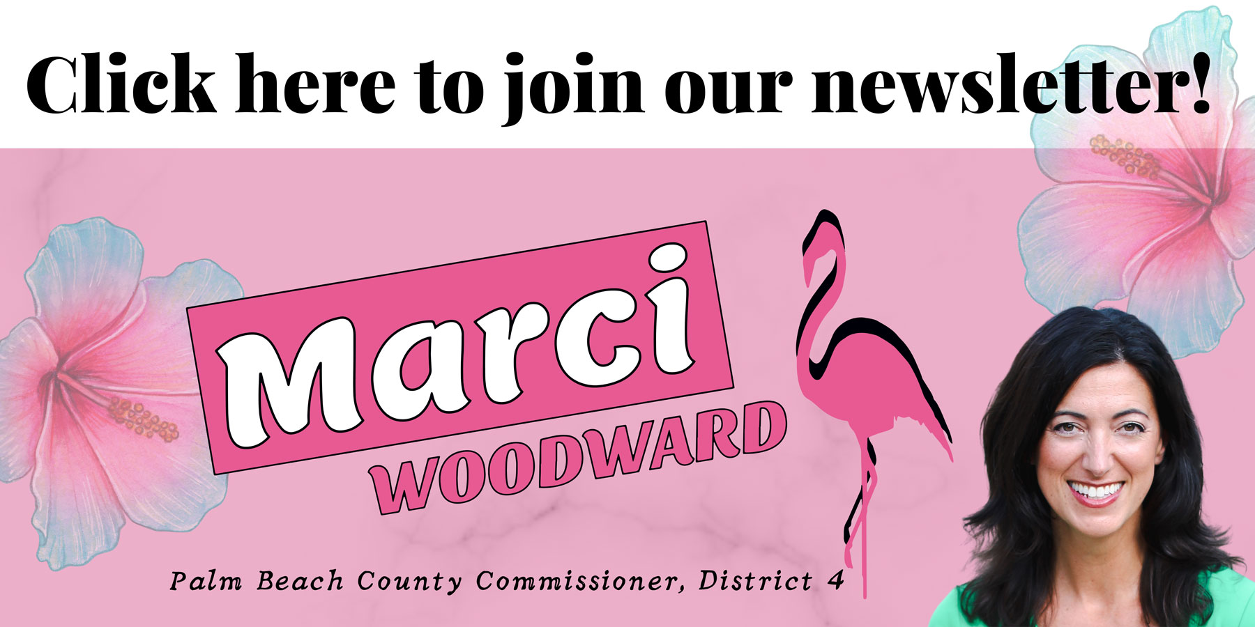 District 4 Newsletter button