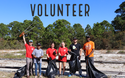 Picture Link for Volunteer Events