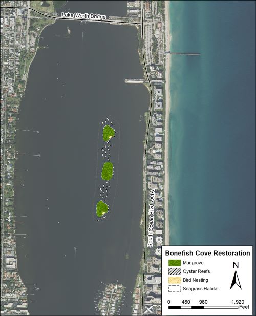 description of the image