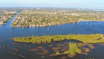 description of the image