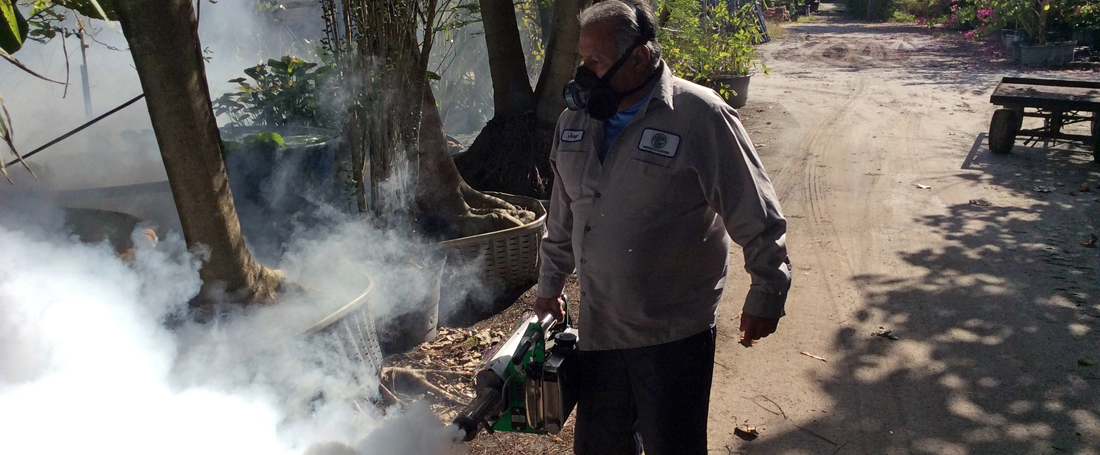 Mosquito Control Inspector Fogging
