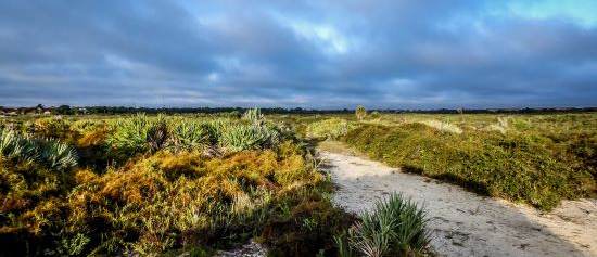 Trail through scrub habitat at Juno Dunes Natural Area