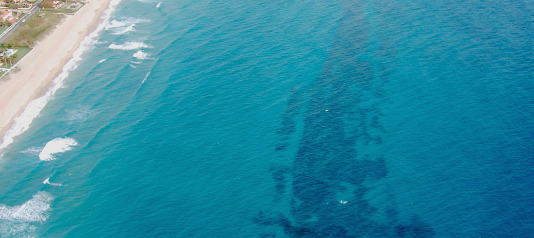 Natural Reefs just offshore Palm Beach County's coastline