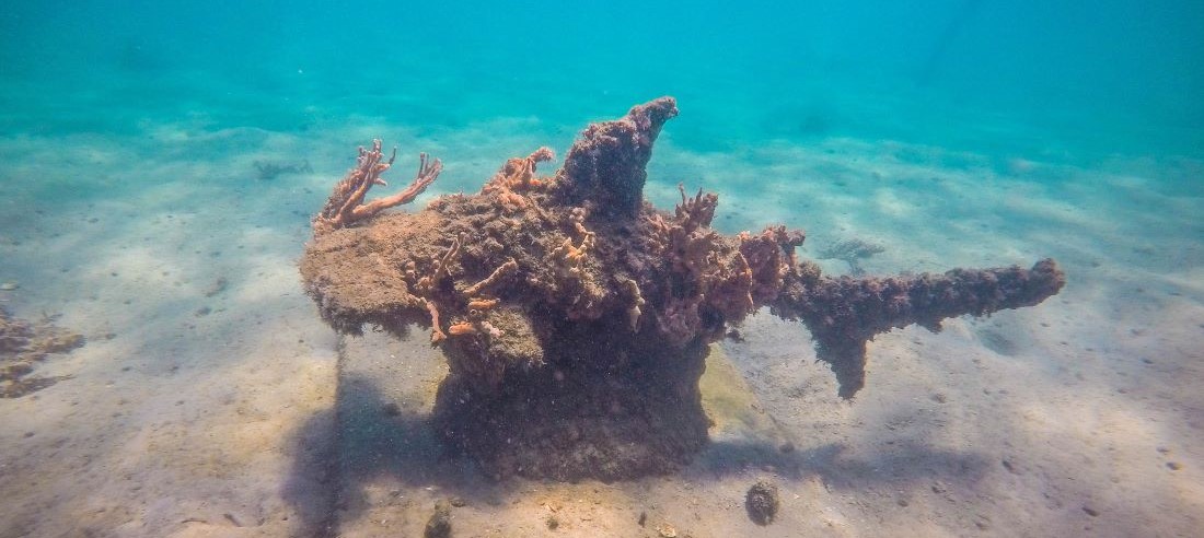 Concrete Sculpture of a Hammerhead Shark that was deployed as an artifical reef