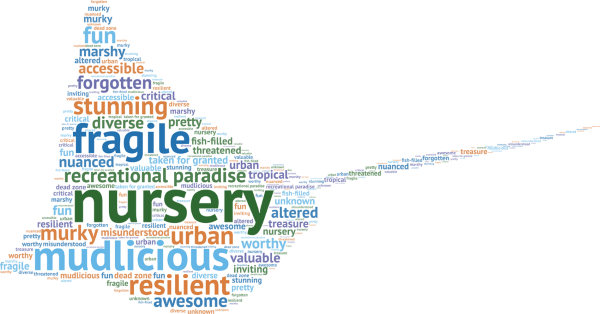 Word Cloud Shaped Like A Sting Ray