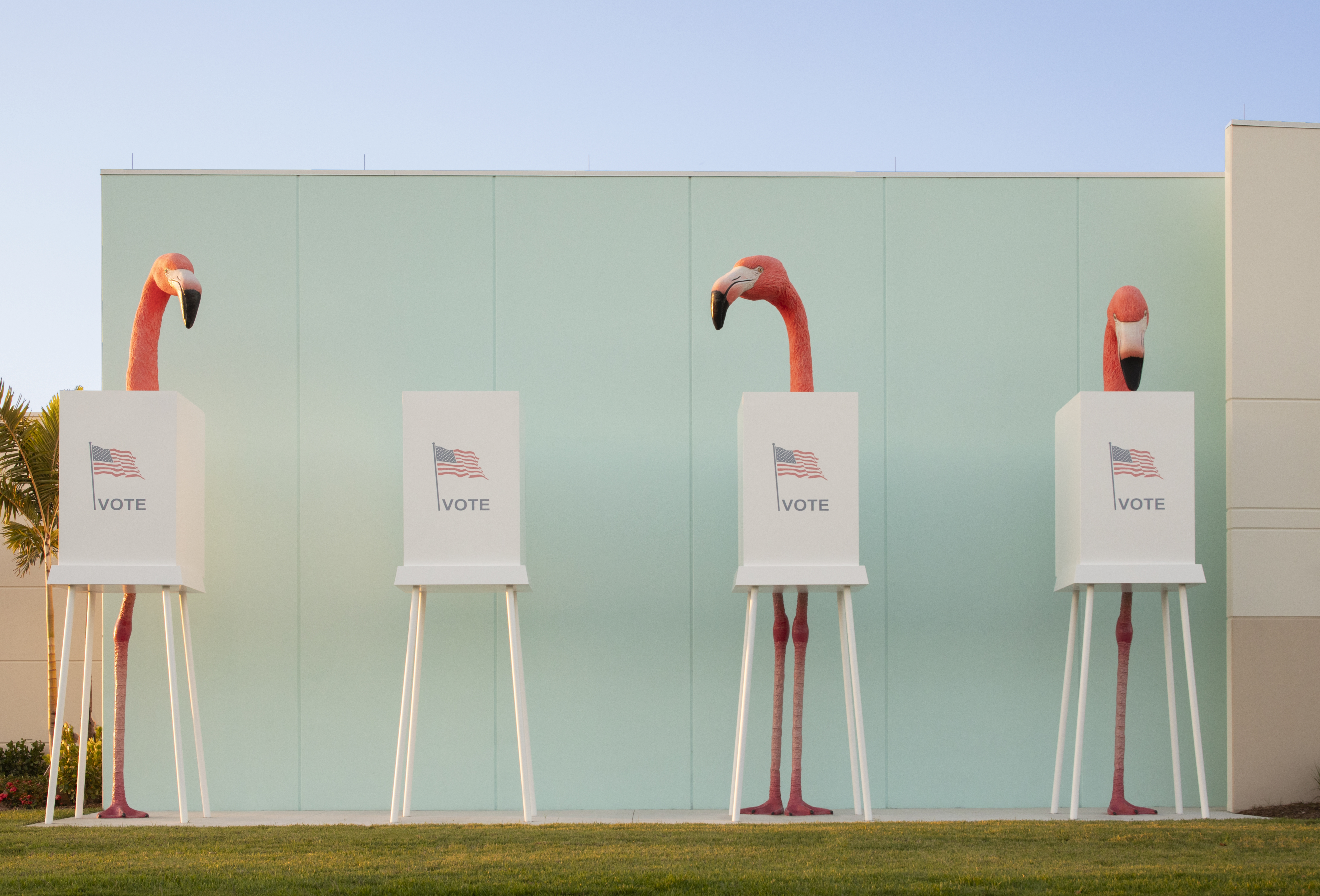 VOTE! by Matthew Mazzotta