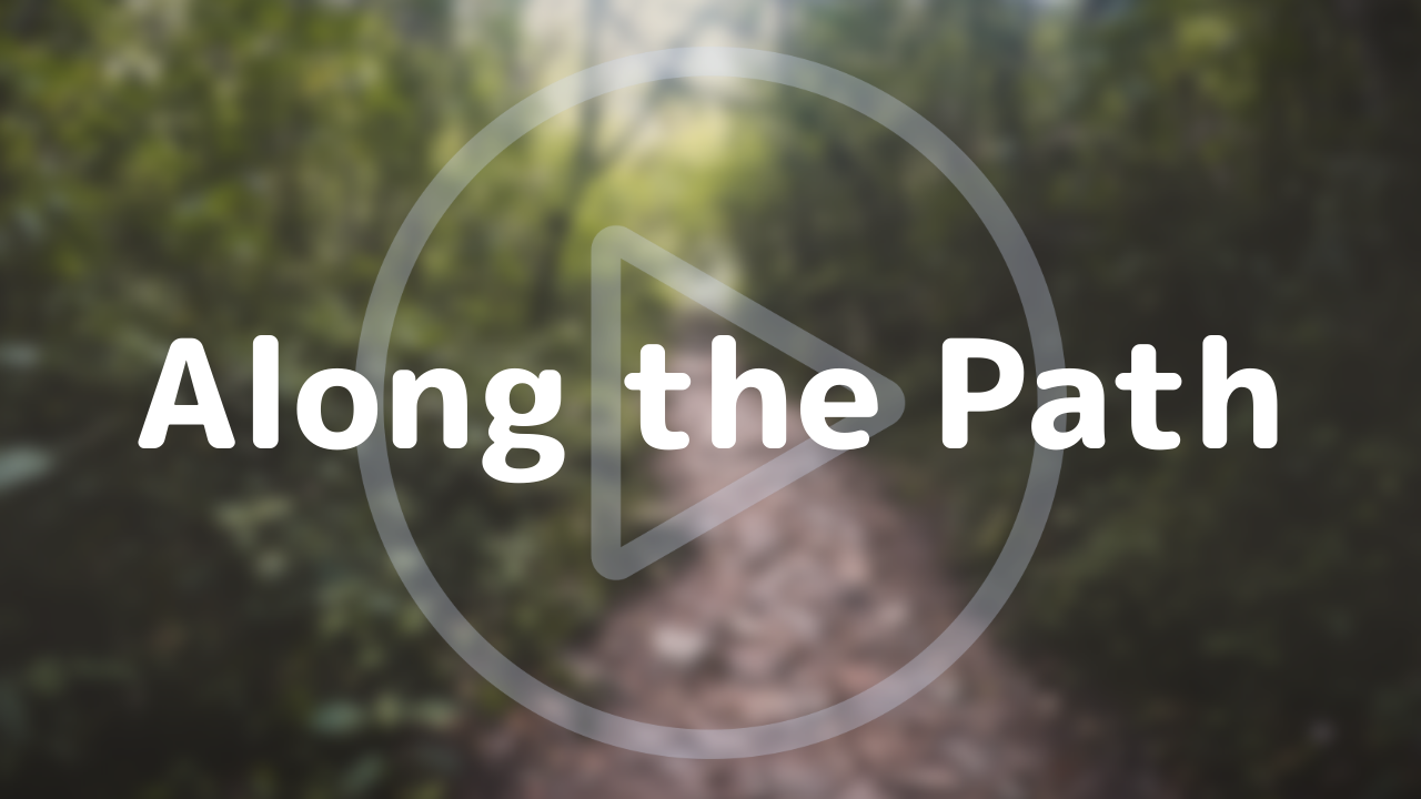 Along the Path - watch the video