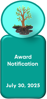 Step 4 - Award Notification