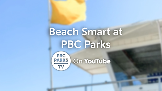 beach smart at PBC Parks