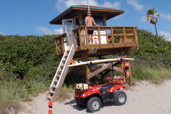 lifeguard