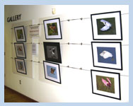 gallery