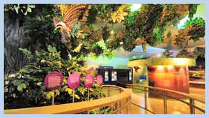exhibit hall