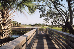 green cay