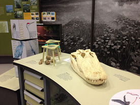 exhibit