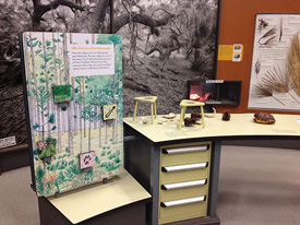 exhibit