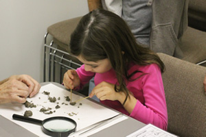 child observing