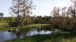 park