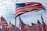 veterans day