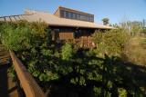 daggerwing nature center