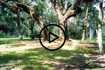 loxahatchee river battlefield park