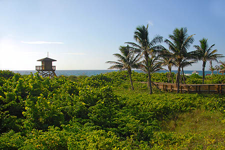 ocean reef park