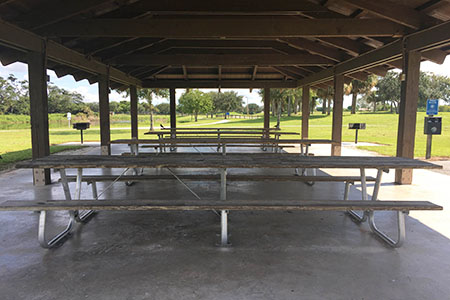 pond apple pavilion