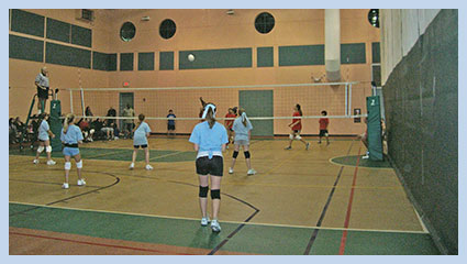 Volleyball Game