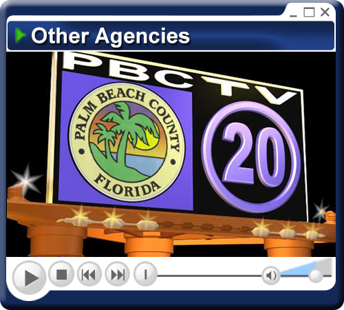 Your County Government