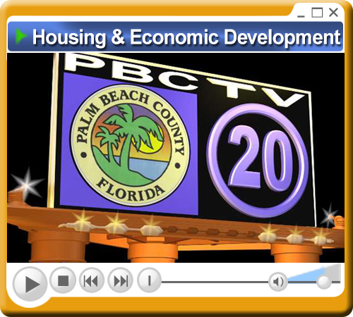 Inspector General video module image