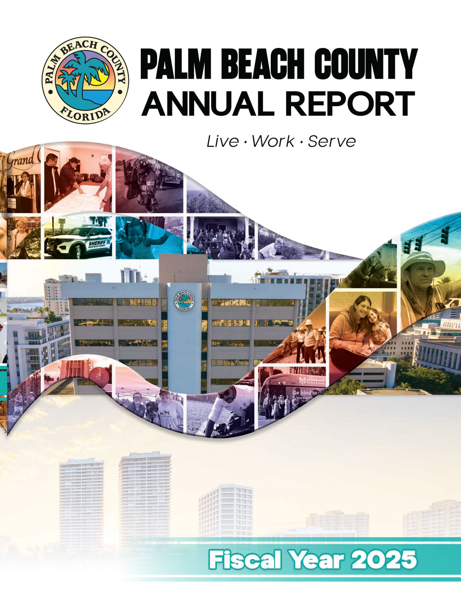 Annual Report Fiscal Year 2025