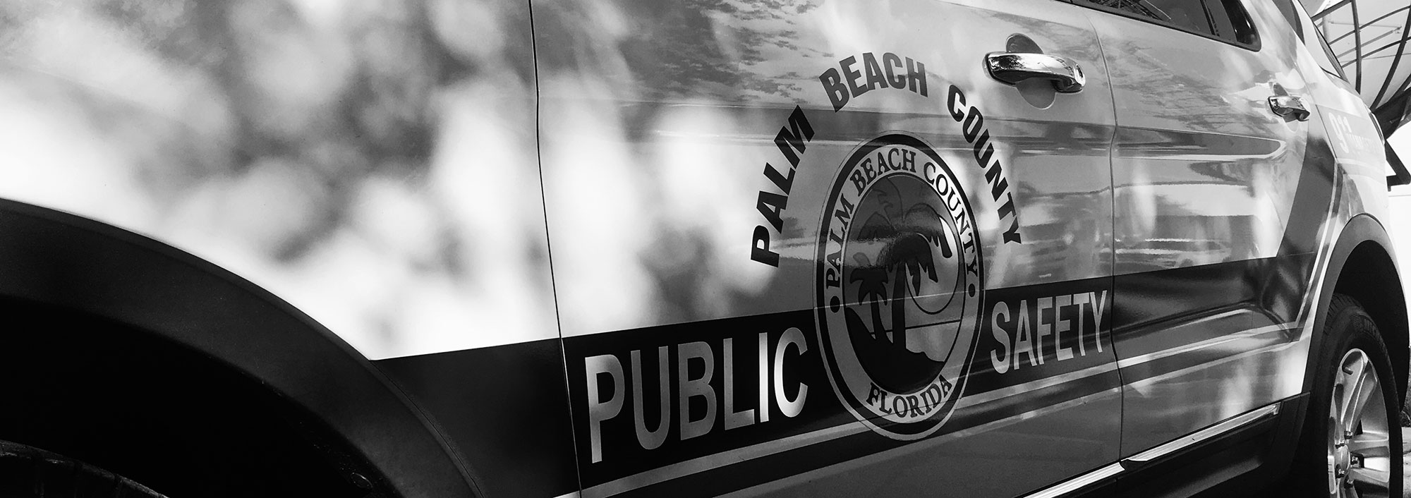 PSD logo bw