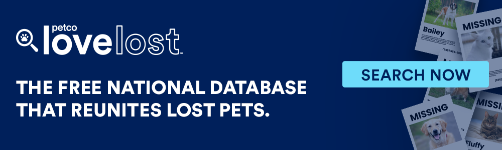 LostWebsiteBanners_BannerImage_1000x300.png