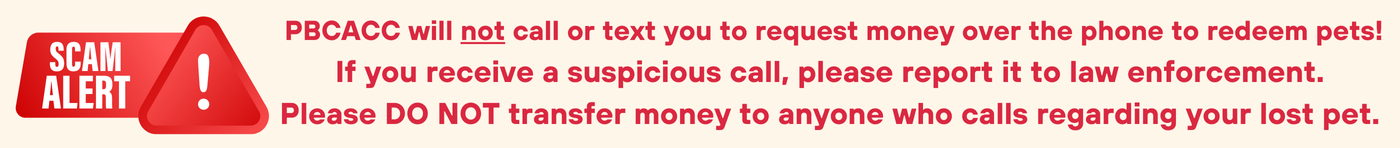 ScamAlert.png