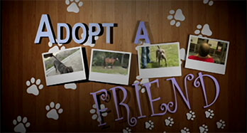 Adopt a Friend