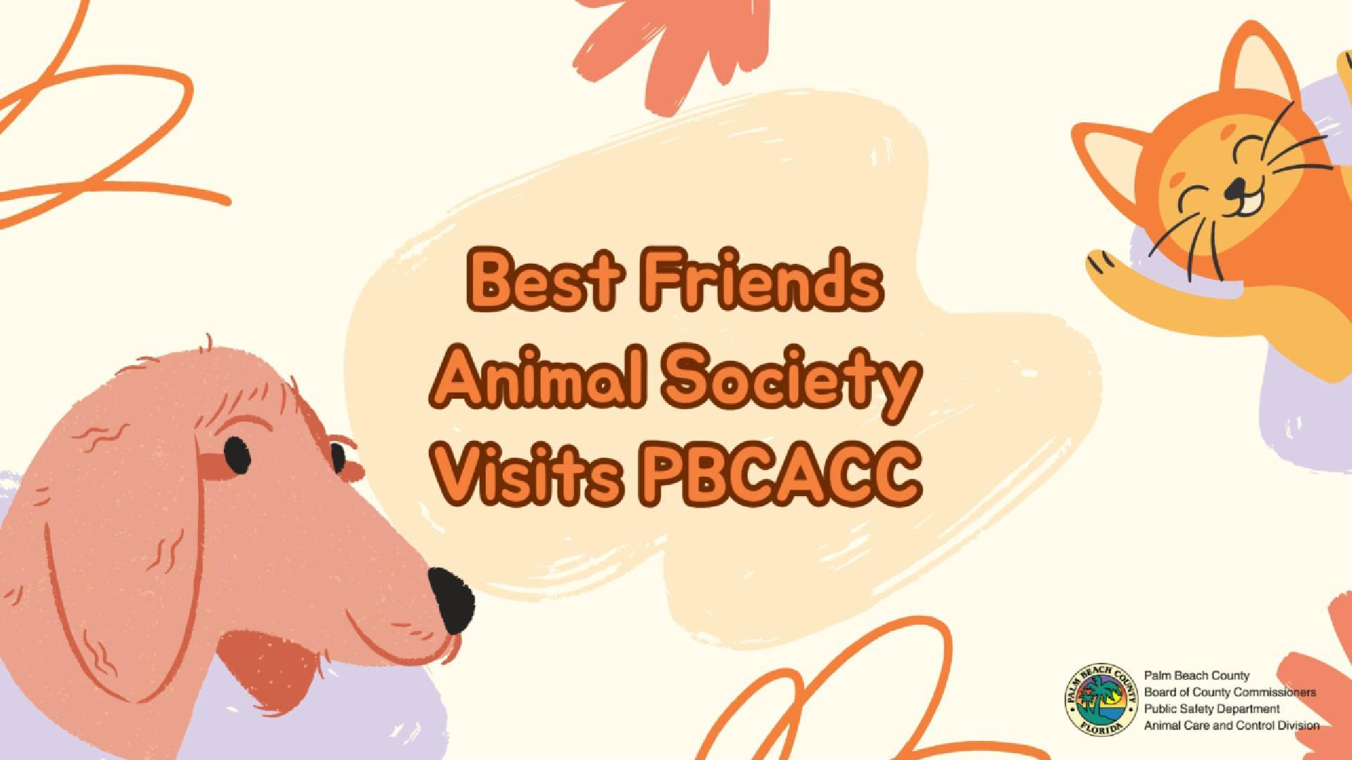 photo cartoon of a cat and dog