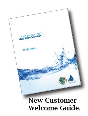 New Customer Guide brochure