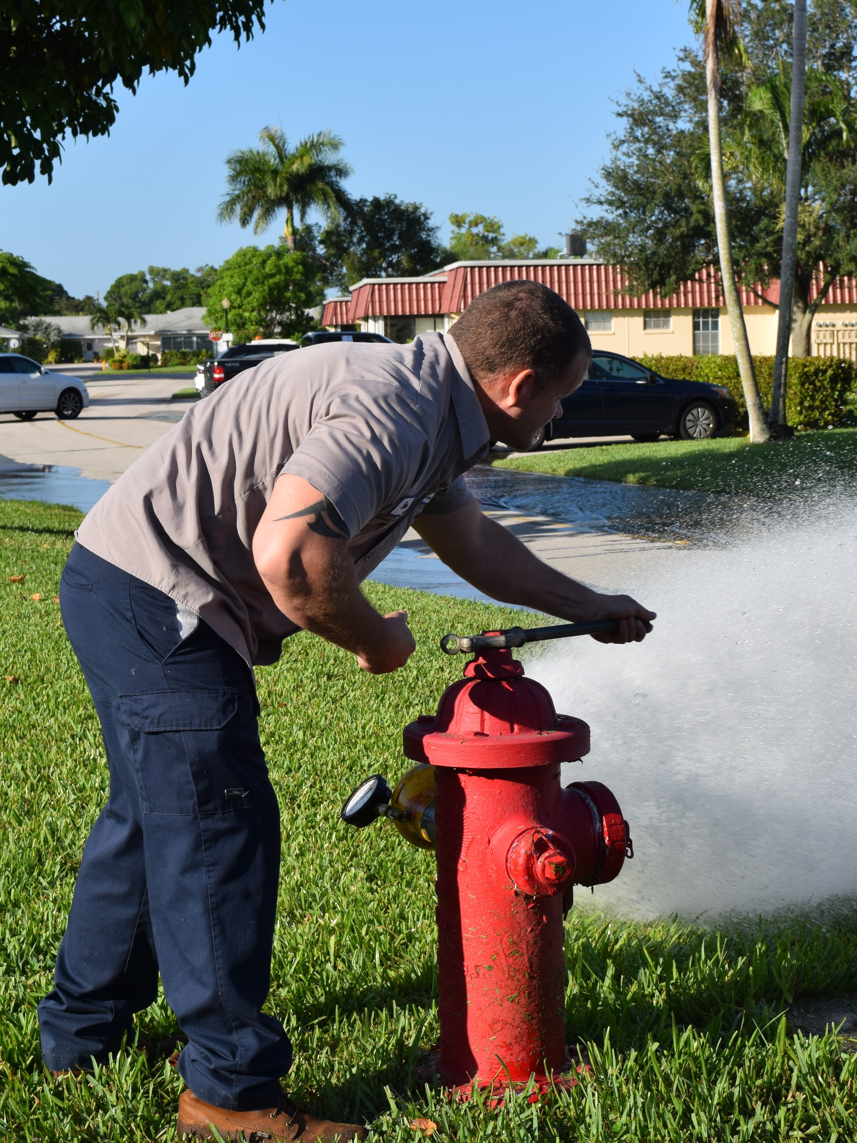 pipeline flushing