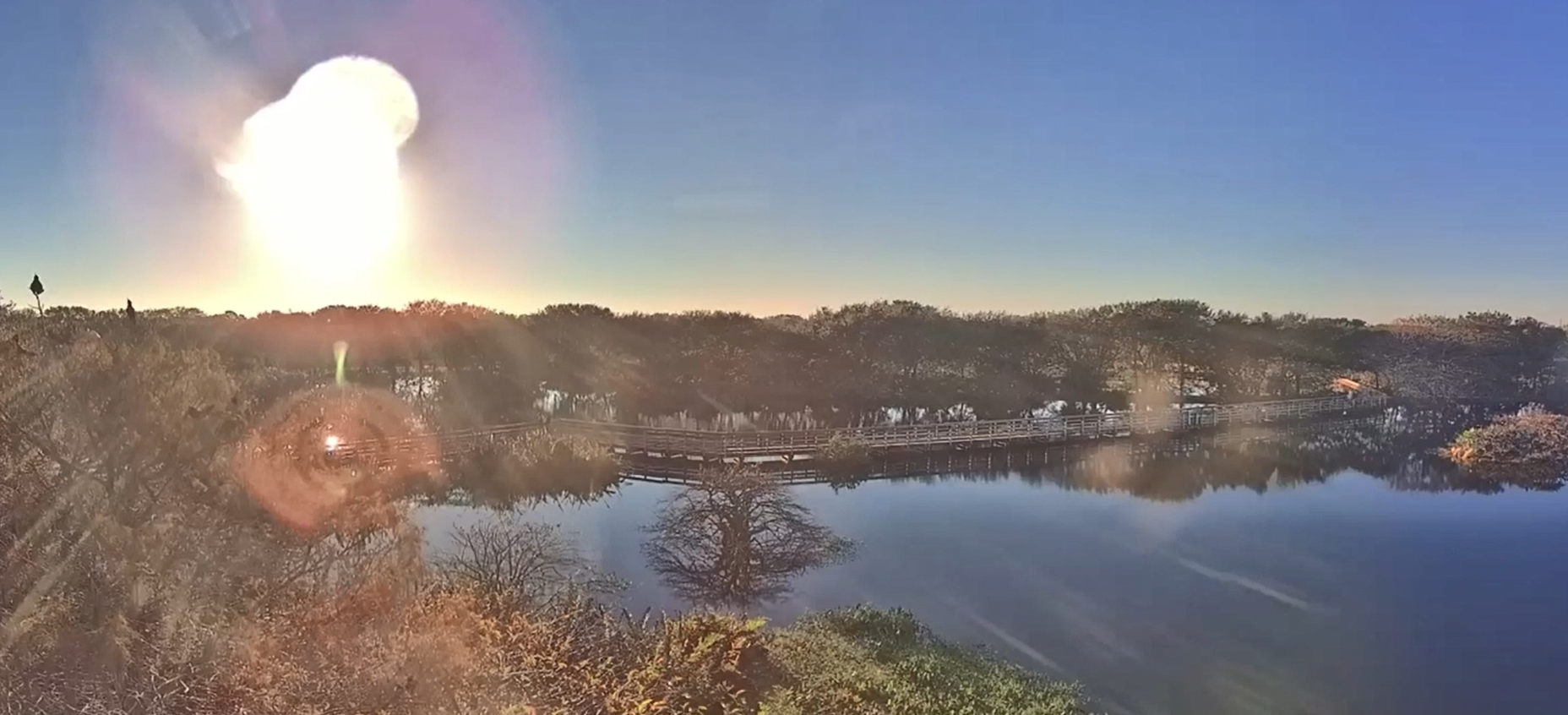 Screenshot of Live Wakodahatchee Wetlands Footae Camera #1
