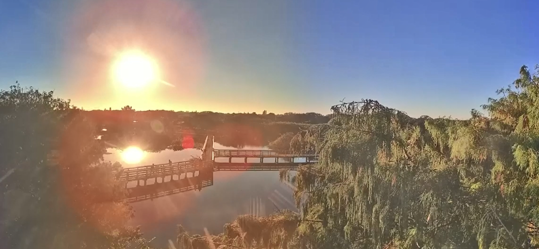Screenshot of Live Wakodahatchee Wetlands Footae Camera #2